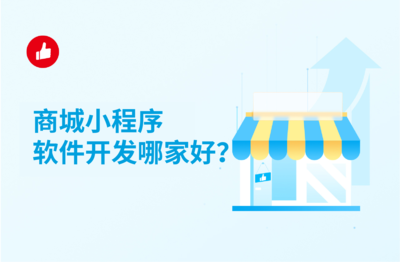 saas软件开发